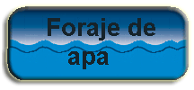 Foraje puturi